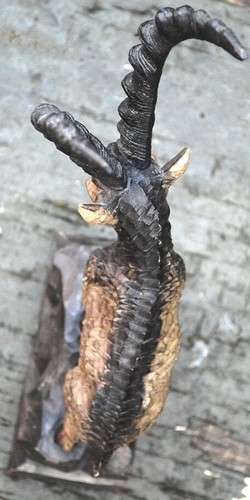 Antique BLACK FOREST Hand Carved Sculpture IBEX CHAMOIS Linden Wood Signed 15" - Picture 14 of 24