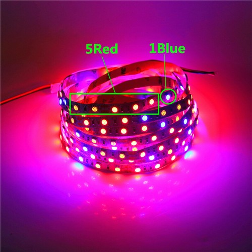 5050 300LED Grow lights red : Blue DC12V 5:1 led strip For Plant Growing - Foto 2 di 9