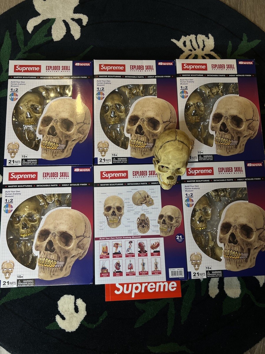 【新品・未開封】Supreme 4D Model Human Skull Supreme 4D Model Human Skull Natural - FW23 - US