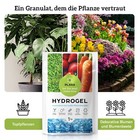 Bild 10 von 11