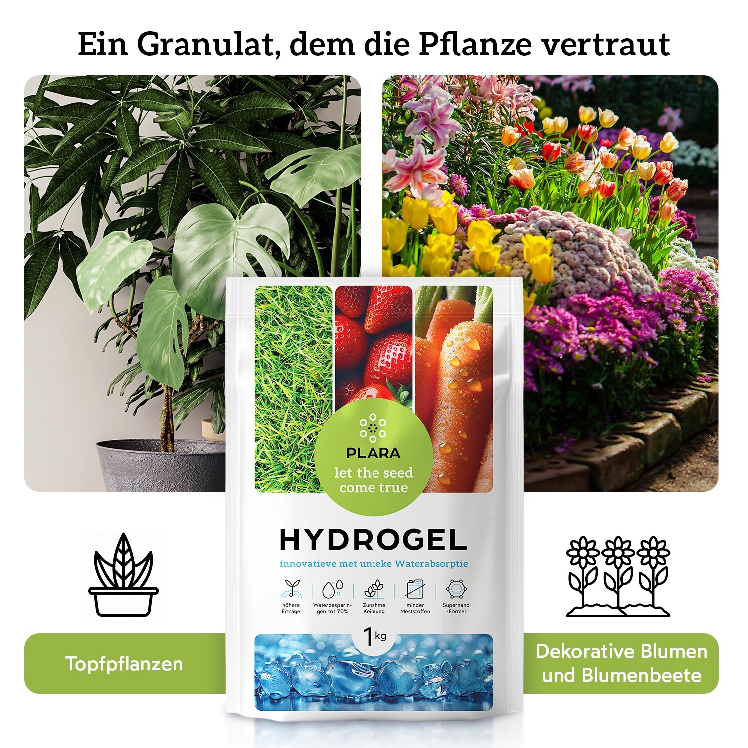 Bild 10 von 11