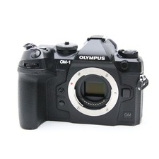 OM SYSTEM OM-1 Mirrorless Camera Body 377