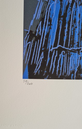 ANDY WARHOL * Cologne Cathedral * 50 x 40 cm *signed lithograph*limited # 37/200 - 第 5/8 張圖片