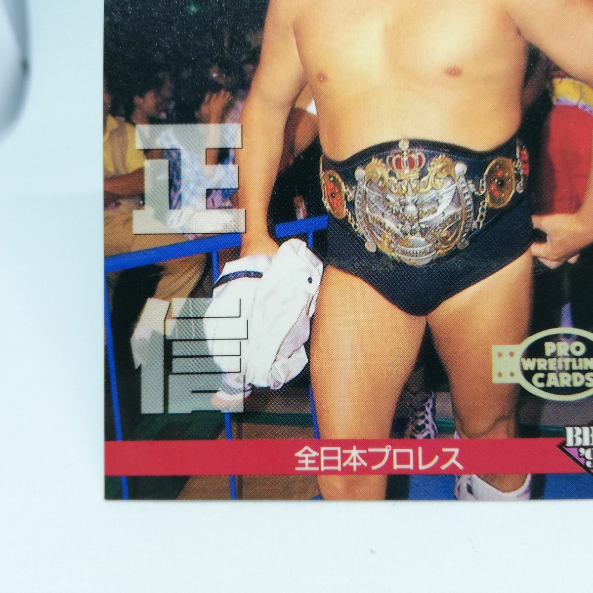 山採りアブA H190cm W120cm s-l1200.jpg