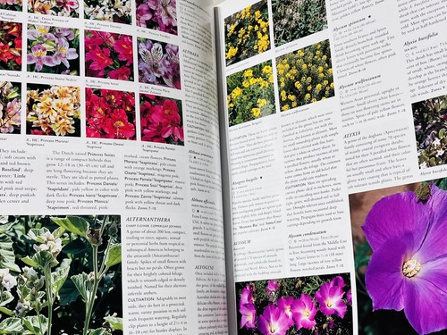 FLORA The Gardener's Bible Peter Cundall ABC Gardening Australia Large Hardcover - Picture 6 of 8