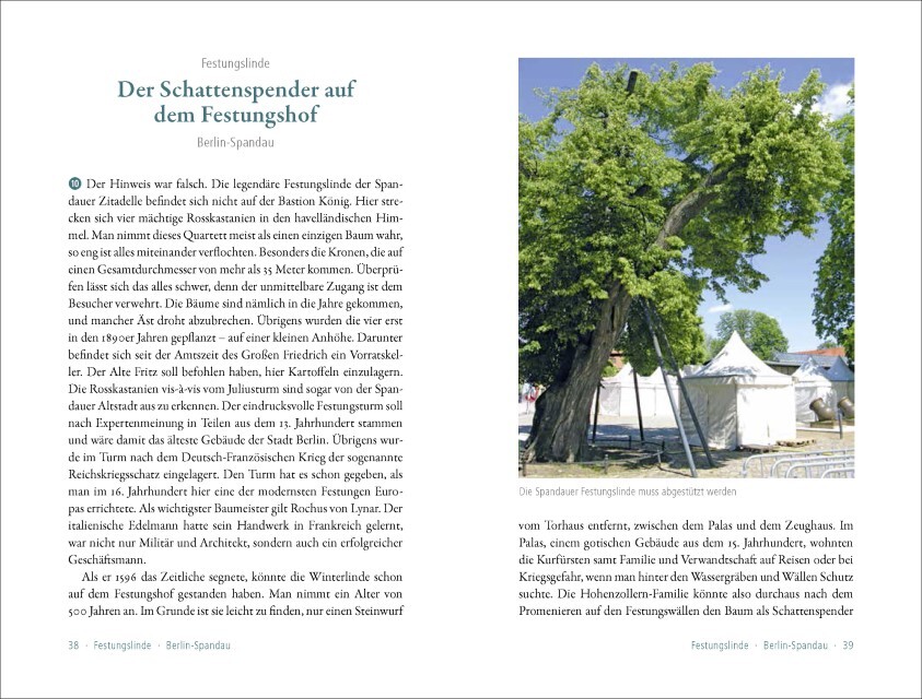 Thumbnail - 50 Sagenhafte Naturdenkmale In Berlin Und Brandenburg Lars Franke