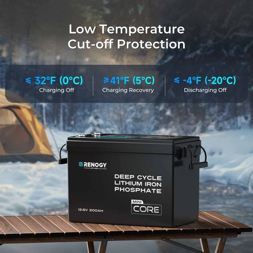 Renogy 100Ah 200Ah 300Ah 12V Solar Lithium Battery Mini Iron Phosphate Home RV - Picture 72 of 92