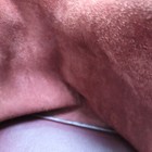 Picture 6 of 17