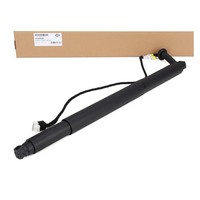 Diederichs HeckklappendäMpfer Elektrisch FüR BMW X6 F16 F86 Rechts 51247434044