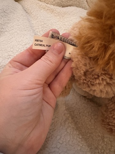 Rare Webkinz Oatmeal Pup HM704 Plush – Collector’s Item – Pre-Loved - Bild 6 von 6