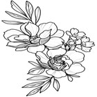 Picture 5 of 15