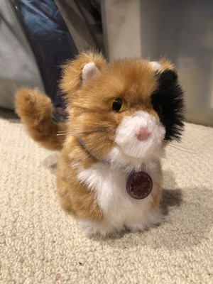 american girl doll class pet hamster