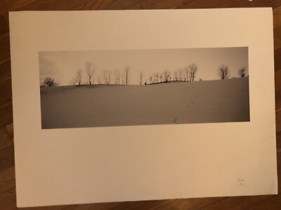 Vintage Unique Landscape Lithograph By Unknown Artist - Large