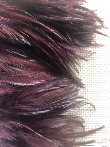 Hackle de silla de montar con borde de pluma púrpura por cinco (5) yardas - Imagen 4 de 4
