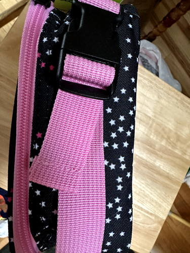 Neu mit Etikett Eddie Bauer Kinder Sternenmuster Thermo Brotzeittasche Reißverschluss 10" x 8" x 3,5" - Bild 2 von 3