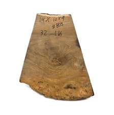 Paela/Chakte Viga Burl Cap/Bowl 14" x 10" x 9" | 32 lbs  #805