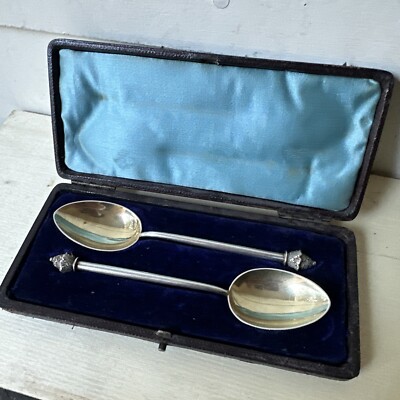 Pair of Silverplate Spoons by Martin Hall & Co c1875 Cased & Exceptional Quality