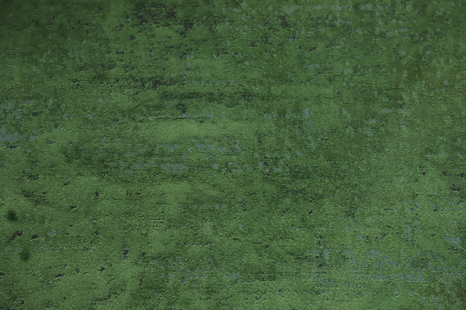 Picture 5 of 13