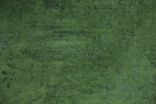 Vibrant Green Contemporary Rug Oriental Modern Turkish Carpet 5x7 - Picture 5 of 13