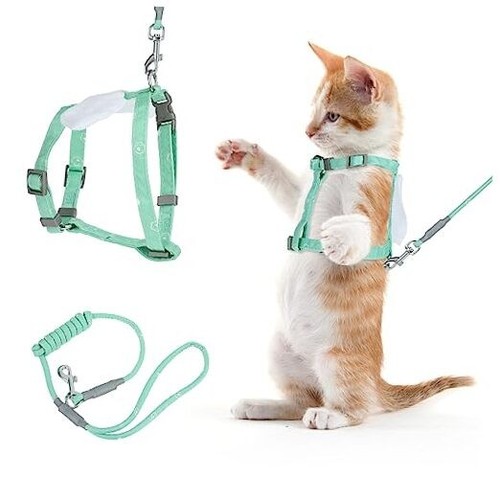 Cat Harness and Leash Set, Adjustable Gradient Kitten Harness Escape Green