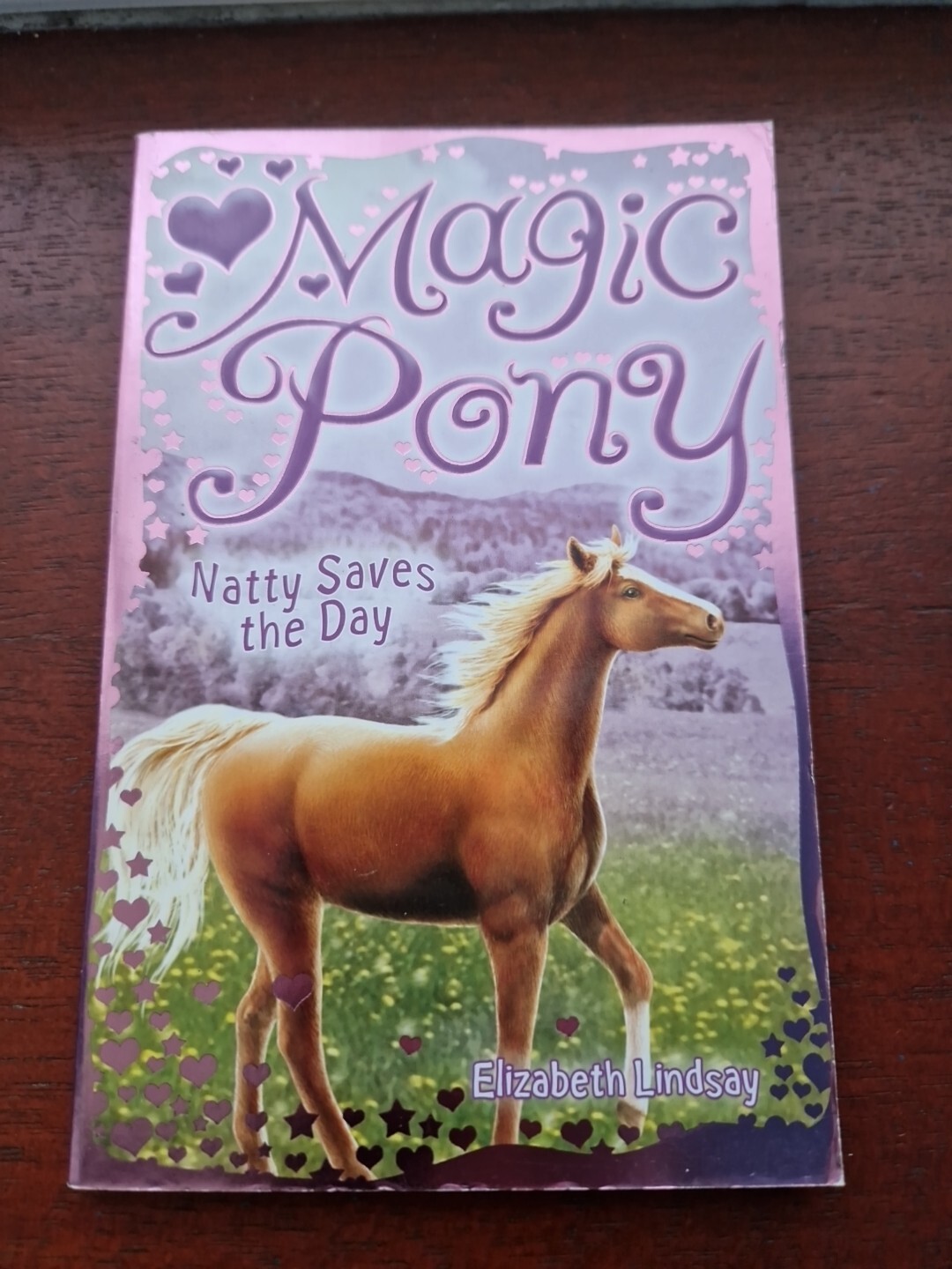 Magic Pony: Natty Saves the Day by Elizabeth Lindsay Magic Pony No 4 horse story
