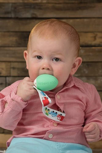 NEW Teething Egg Baby Toy Soothes Sore Gums Various Colours & Egg Shell Included - Picture 25 of 58