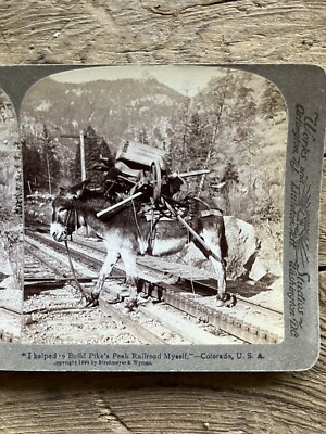 Burro helped build Pike's Peak Railroad Colorado Stereoview