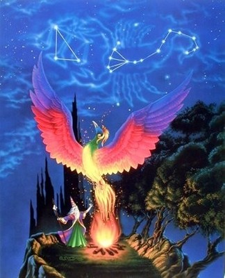 Mythical Magical Wizard Phoenix Forest Fantasy Kids Room Art Print 10''L x 8''W