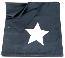 Vintage Napkin Set Of 4 Star Spangled Unused C & F Enterprises 1990s