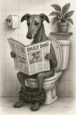 lurcher Bathroom Prints Funny Bathroom Wall Art Bathroom Decor Wall Art A4