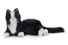Companion Pet for Seniors - Lifelike Animatronic Cat - Realistic Soft-Touch F...
