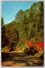 Oregon Mckenzie Lava Fields Pass Postcard, L17