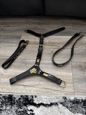 Leather Dog Collar, Harness And Lead, Bought For A Staffy But To Big, Never Used