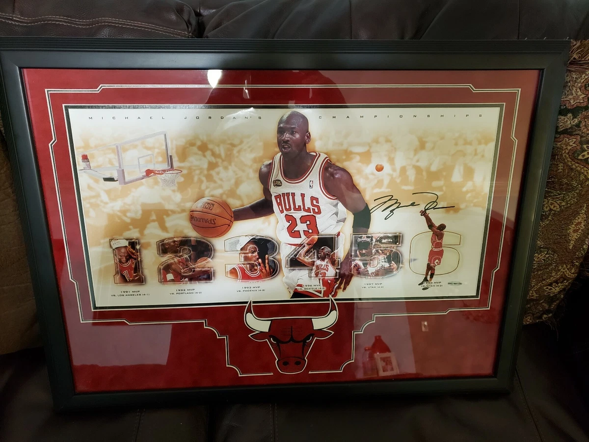 Lebron james signed jersey ebay sale