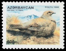 AZERBAIJAN 544 - Caspian Grouse "Lyurus miokosiewisckzi" (pb76277)