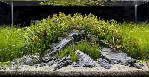 Fish Tank White Gravel Natural Plant Substrate Sand LIGHT 2-3mm 15kg - Picture 8 of 11