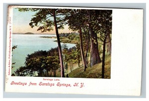 Scenic-Greeting-from-Saratoga-Lake-Springs-NY-c1905-Postcard-J2