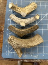 4 Pcs Whitetail Deer Antler Dog Chews Crafts LOT 343