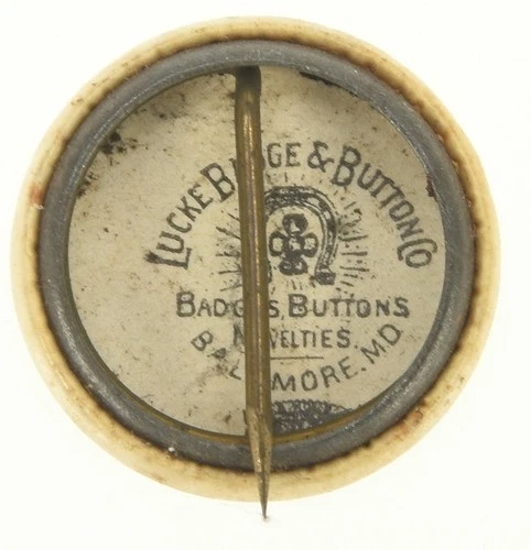 Vintage Home for Confederate Women Pin