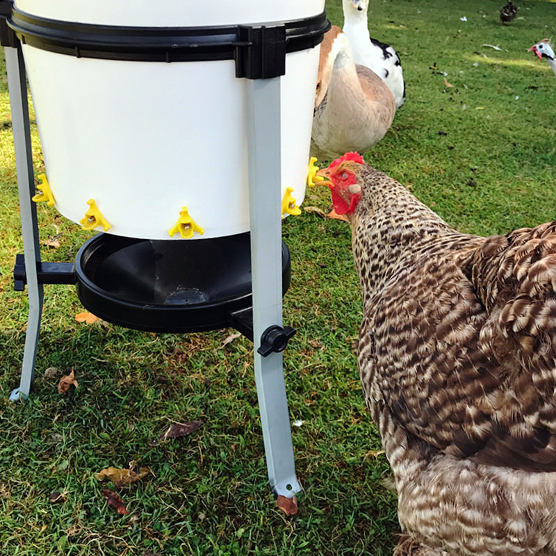 Abbeveratoio Automatico Per Polli Con Filtro - Con Catena Per Appendere, Per Galline E Pollai - Foto 12