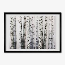 Tulup Photo MDF 70x50cm Cadre Le salon Décor Tronc de bouleau