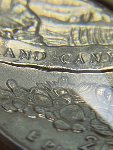 2008 P Arizona Quarter Die Breaks/Chips Double Die Lettering Extra Cactus Errors - Picture 18 of 19