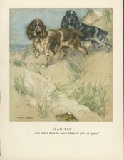 ENGLISH SPRINGER COCKER SPANIEL DOGS 1947 DOG ART PRINT ARTIST VERNON STOKES