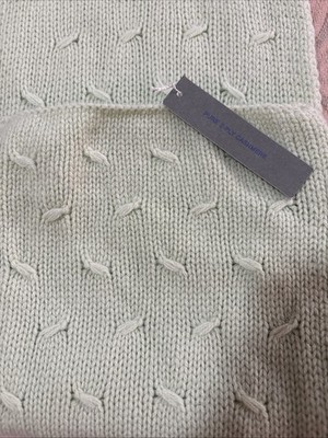 Geneva 2 Ply Cashmere Mint Green Scarf Soft Stylish Fashion. Cozy Comfort 60 in.