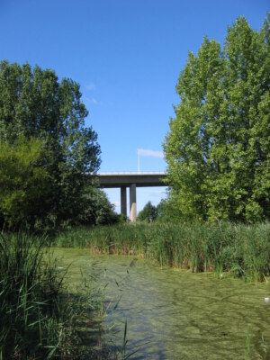 Photo 6x4 Barton Clay Pits Nature Reserve Barton-Upon-Humber View from th c2007