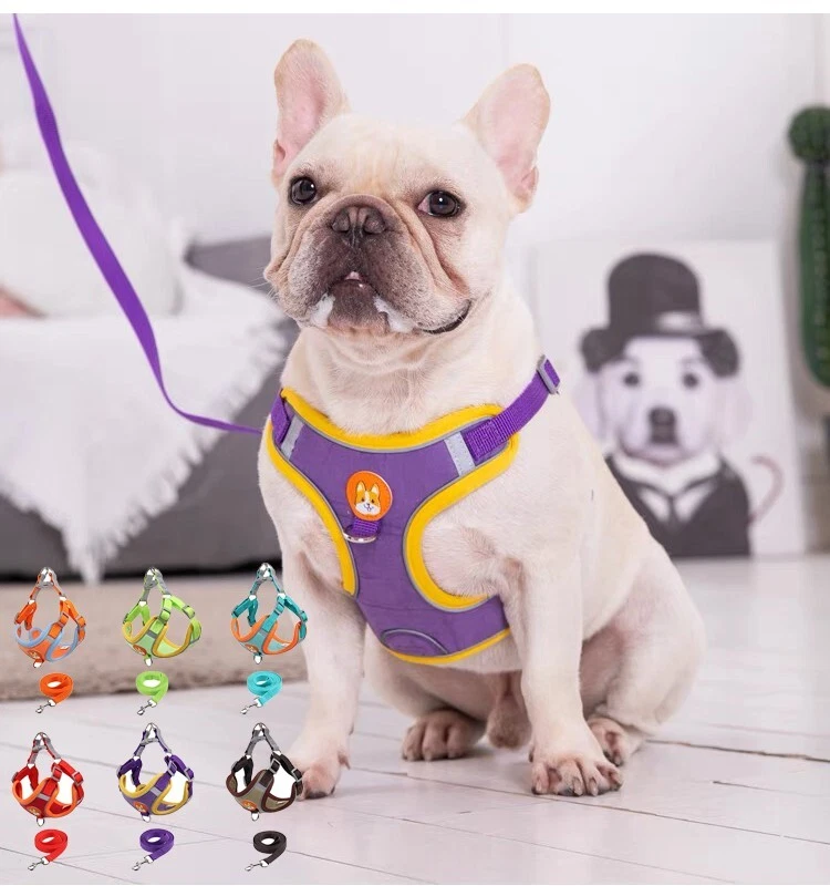 Dog Harness Set No Pull Adjustable Reflective Breathable Harness French Bulldog