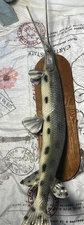 38 + Inch Longnose Gar Half Mount Mounted Fish Replica Taxidermy Painted Plaque
