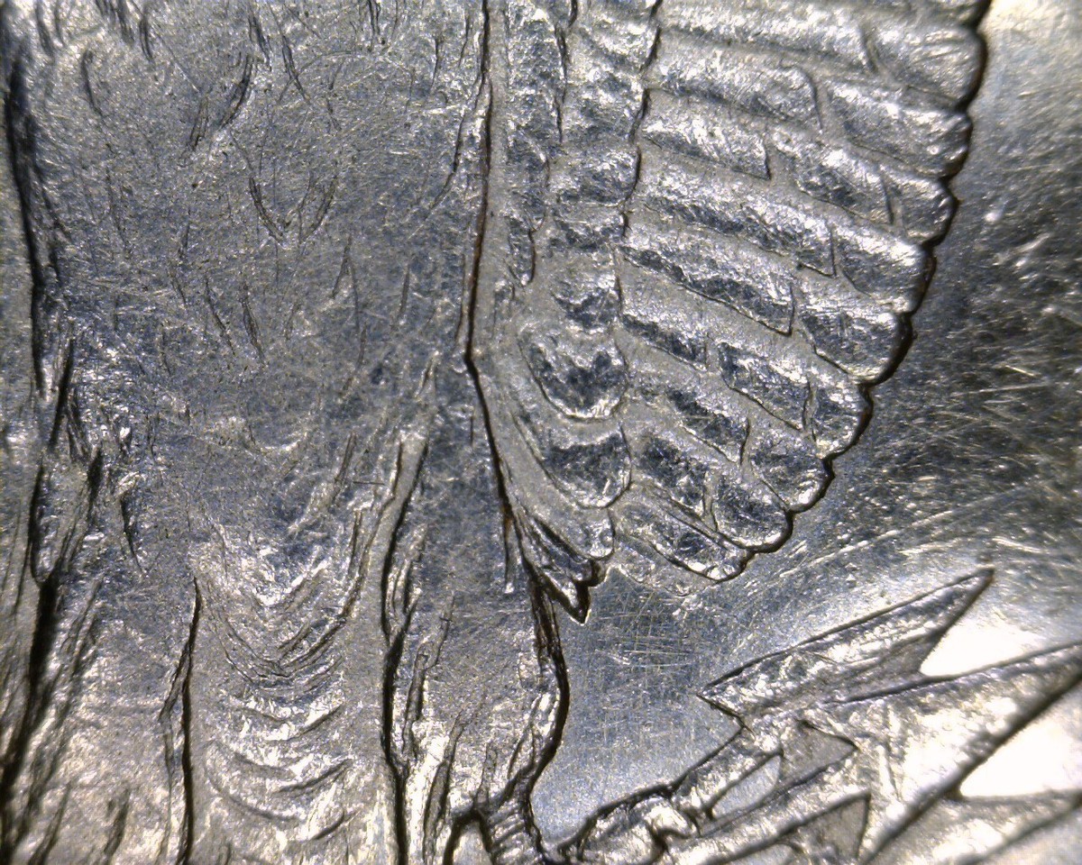 Beautiful 8 Tail Feather 1878 Vam-9 First Morgan Die Morgan Silver