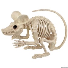 21.5" Rat Attack Skeleton Decor - A781