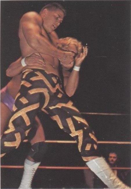 1988 Wonderama NWA - Sean Royal #300 - 1 of 1